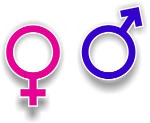 gender_symbols.jpg
